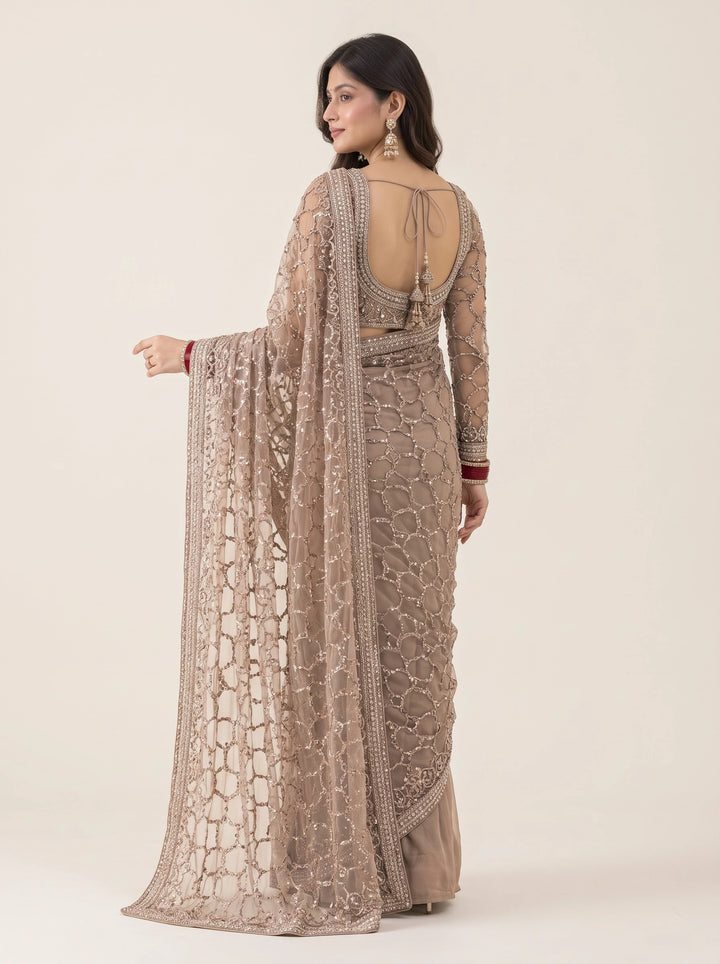 Champagne Taupe Silver Embellished Designer Saree - Back